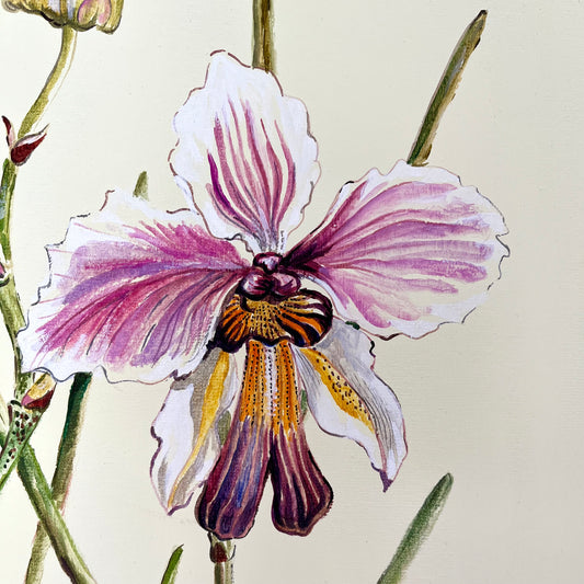 Botanical #14. 40x60