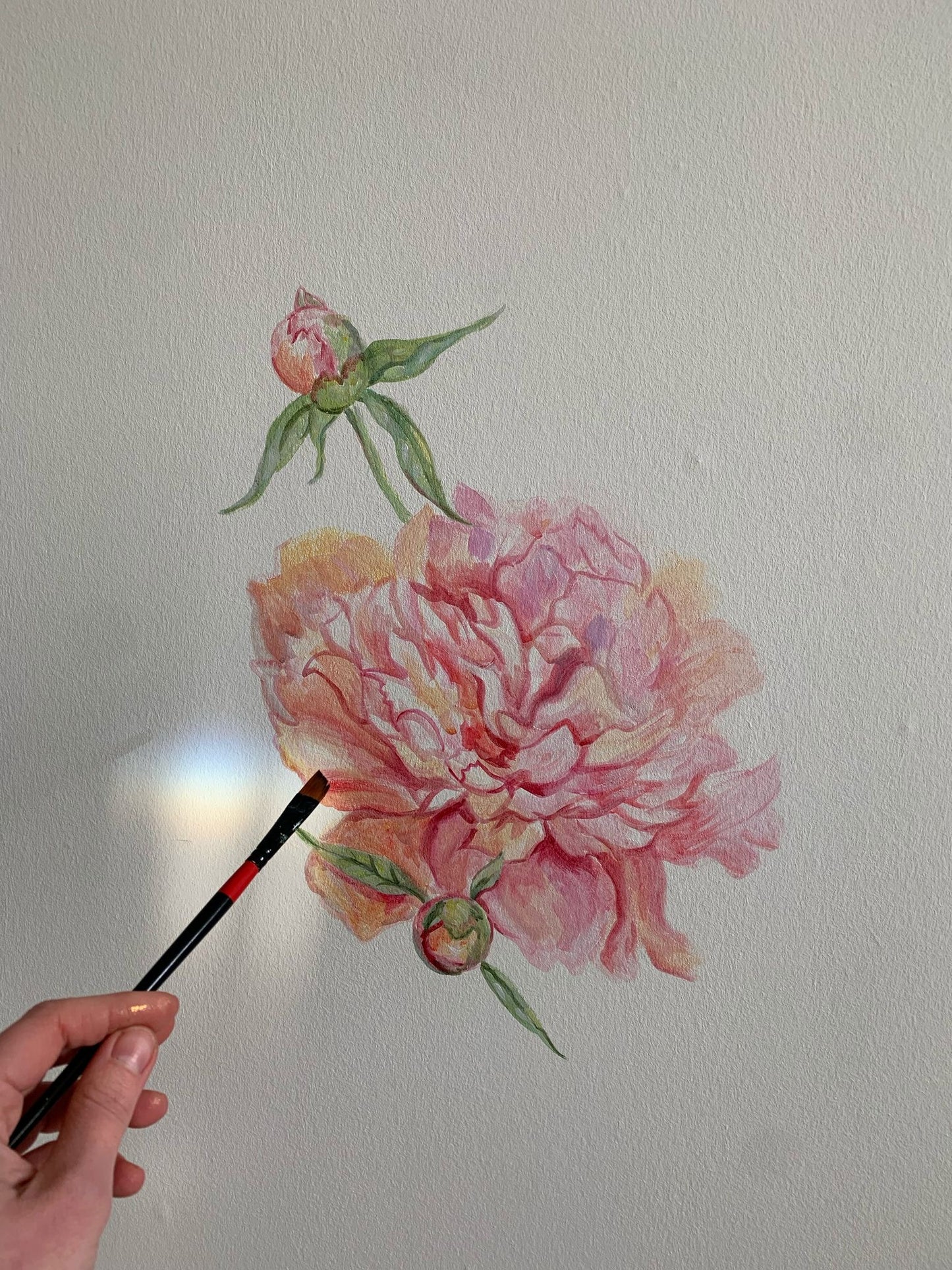 Peonies