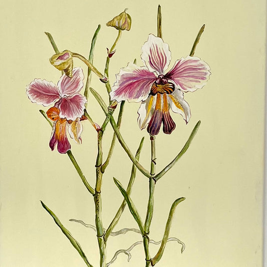 Botanical #14. 40x60