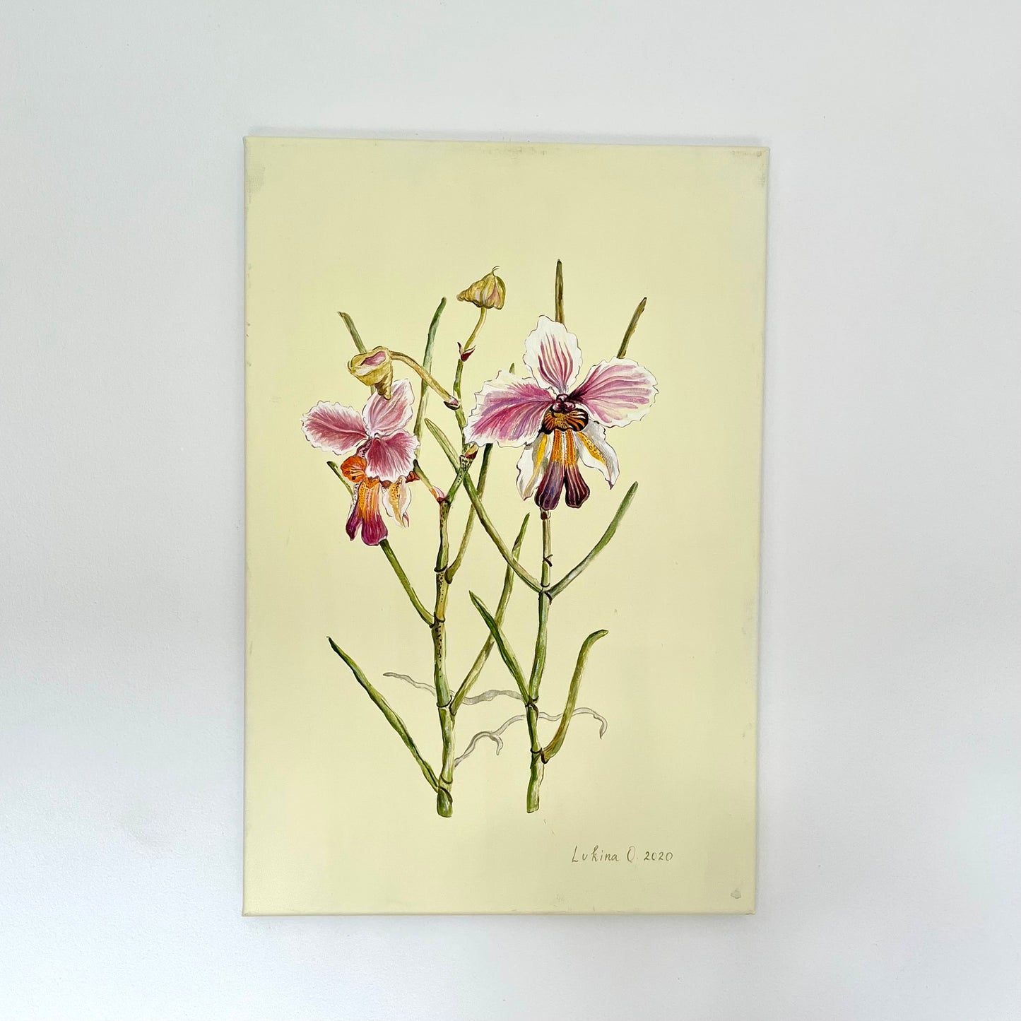 Botanical #14. 40x60