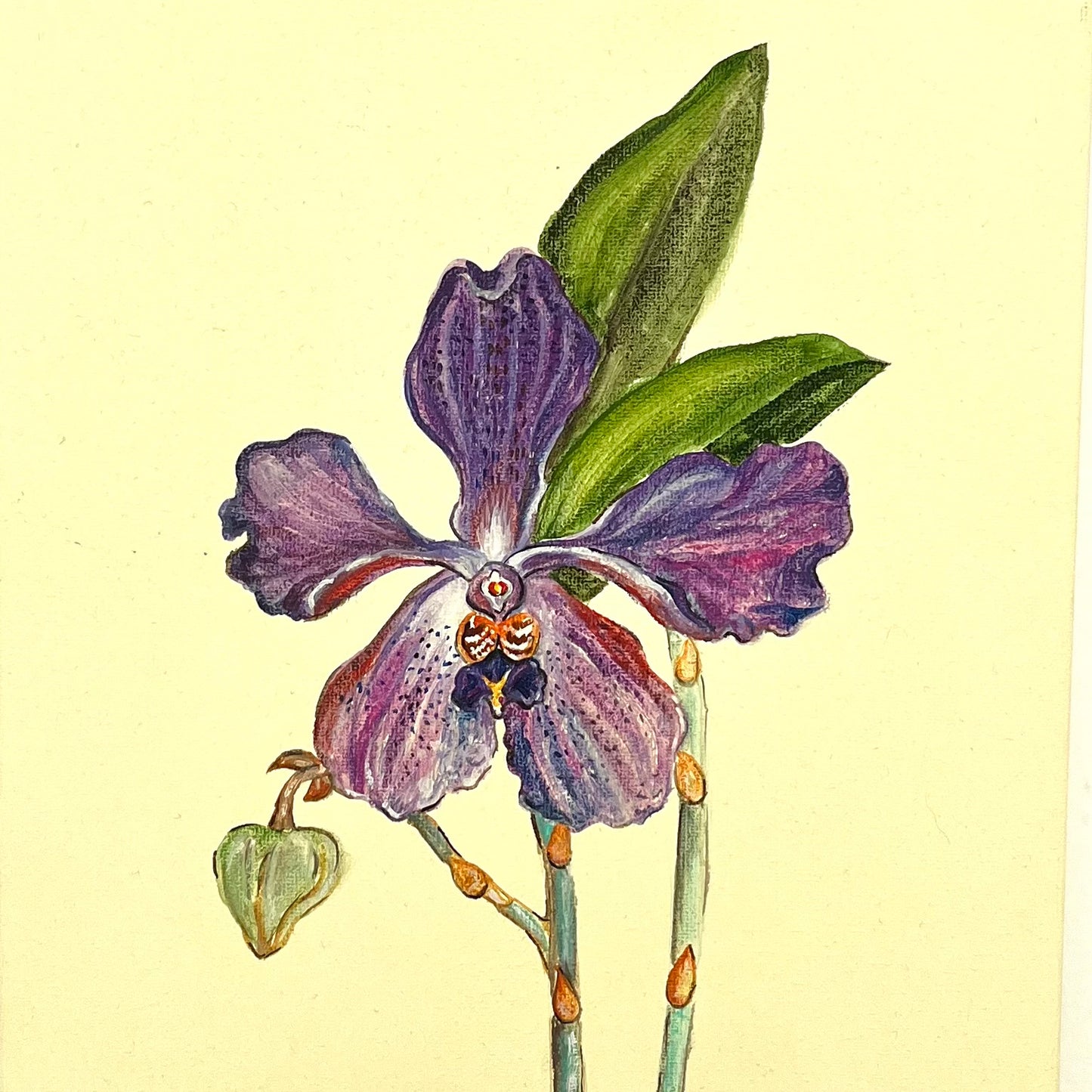 Botanical #13. 30x40