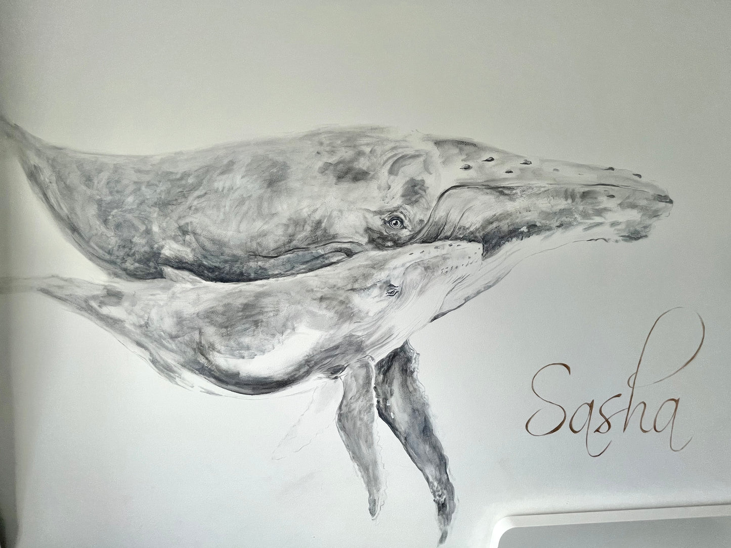 Whale Mural