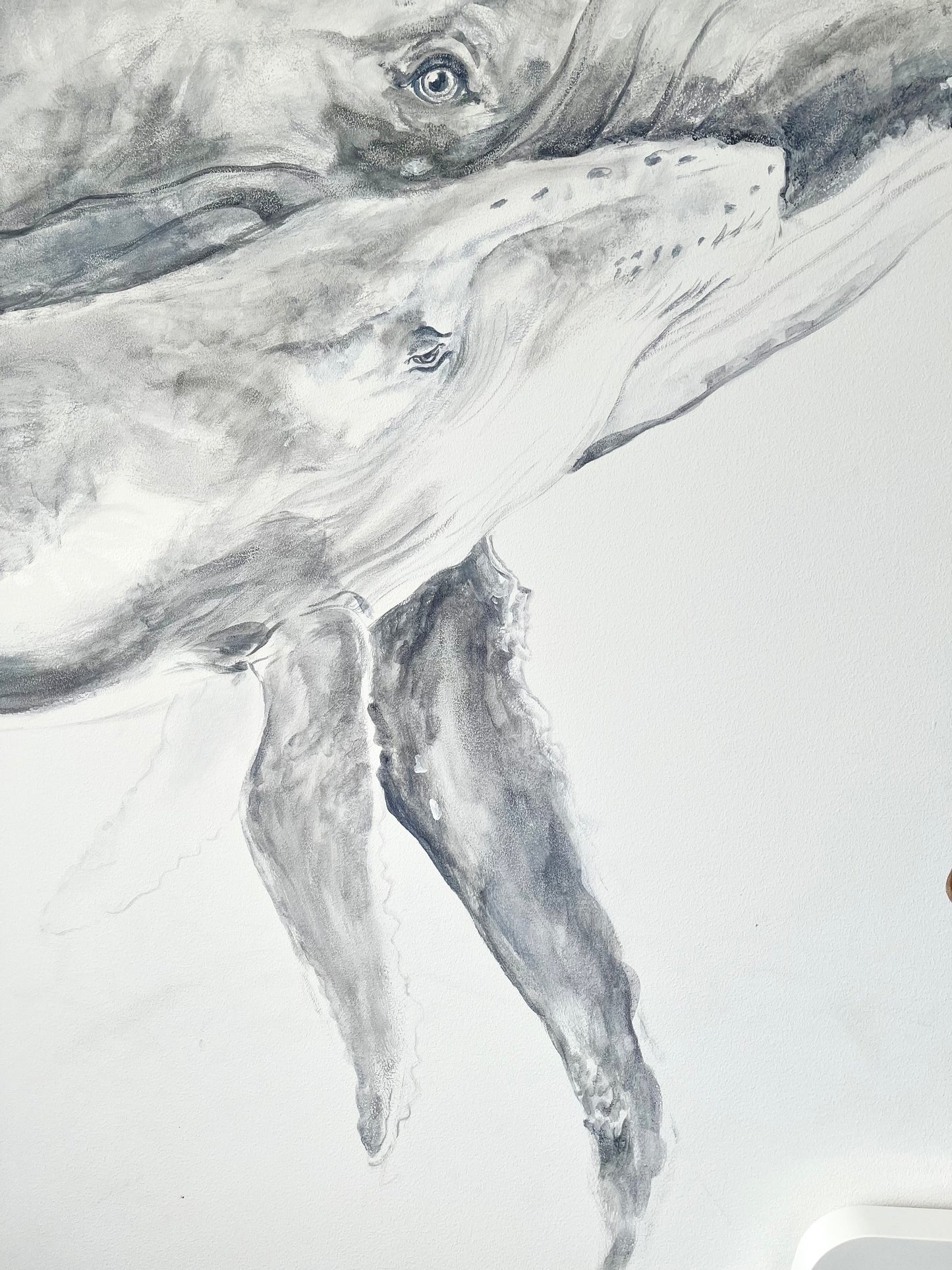 Whale Mural